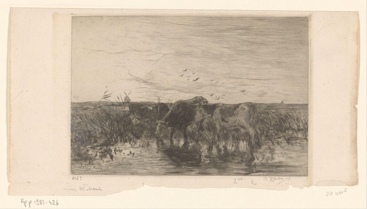 Lehmät lähellä vettä niityllä Vaches au bord de l