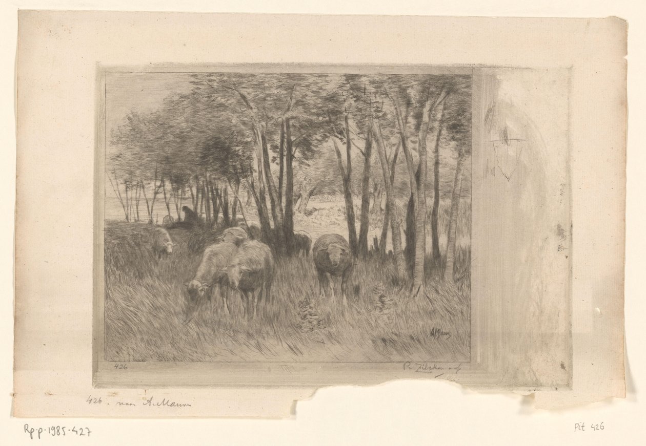 Lammaslauma ja paimen niityllä puita Moutons (alkuperäinen nimi) tekijältä Philip Zilcken (signed by artist)