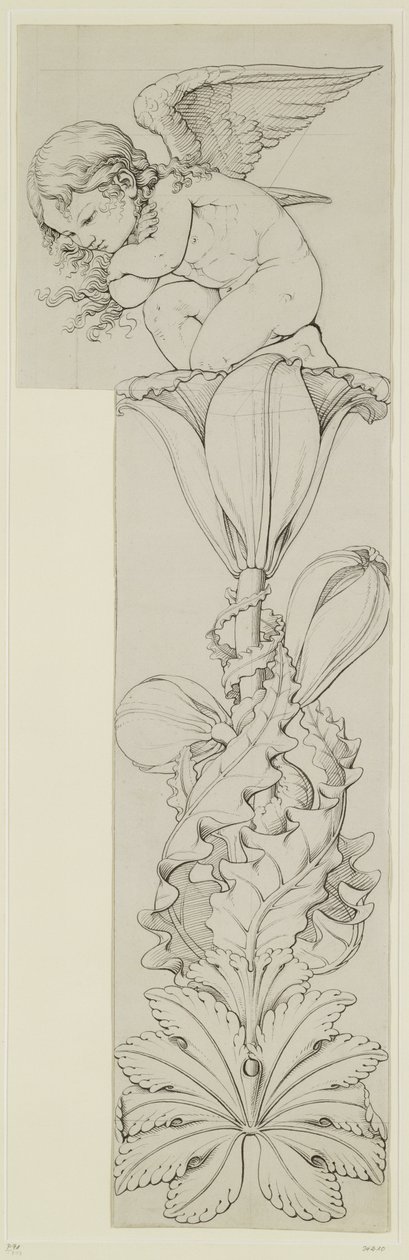 Genius of the Lily, 1809 (lyijykynä ja pesu paperille) (oikea siipi) tekijältä Philipp Otto Runge