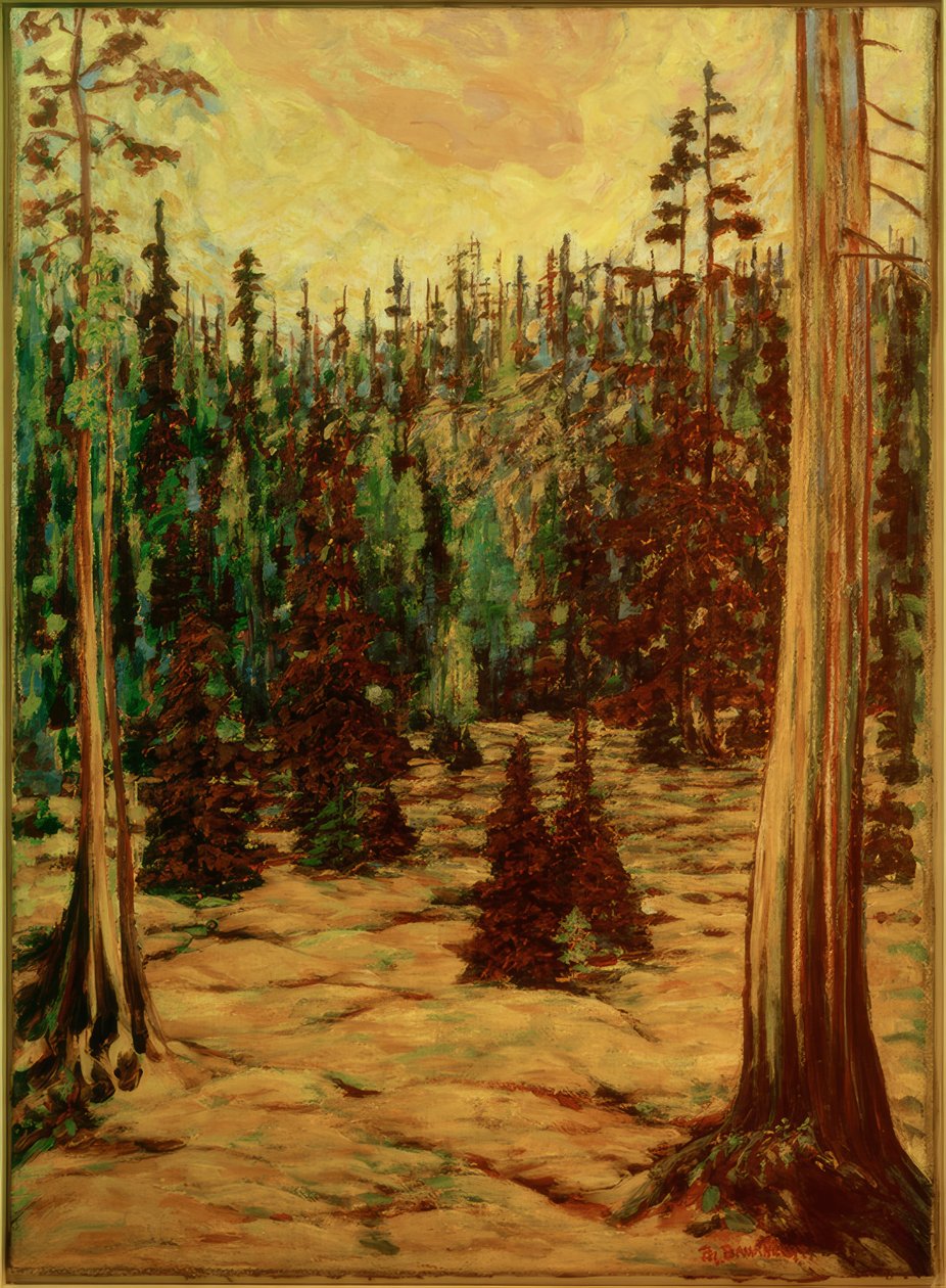 Sommerwald tekijältä Philipp Bauknecht