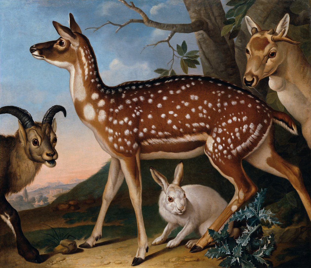 daines, cabras i conills finlandesos tekijältä Philipp Ferdinand de Hamilton