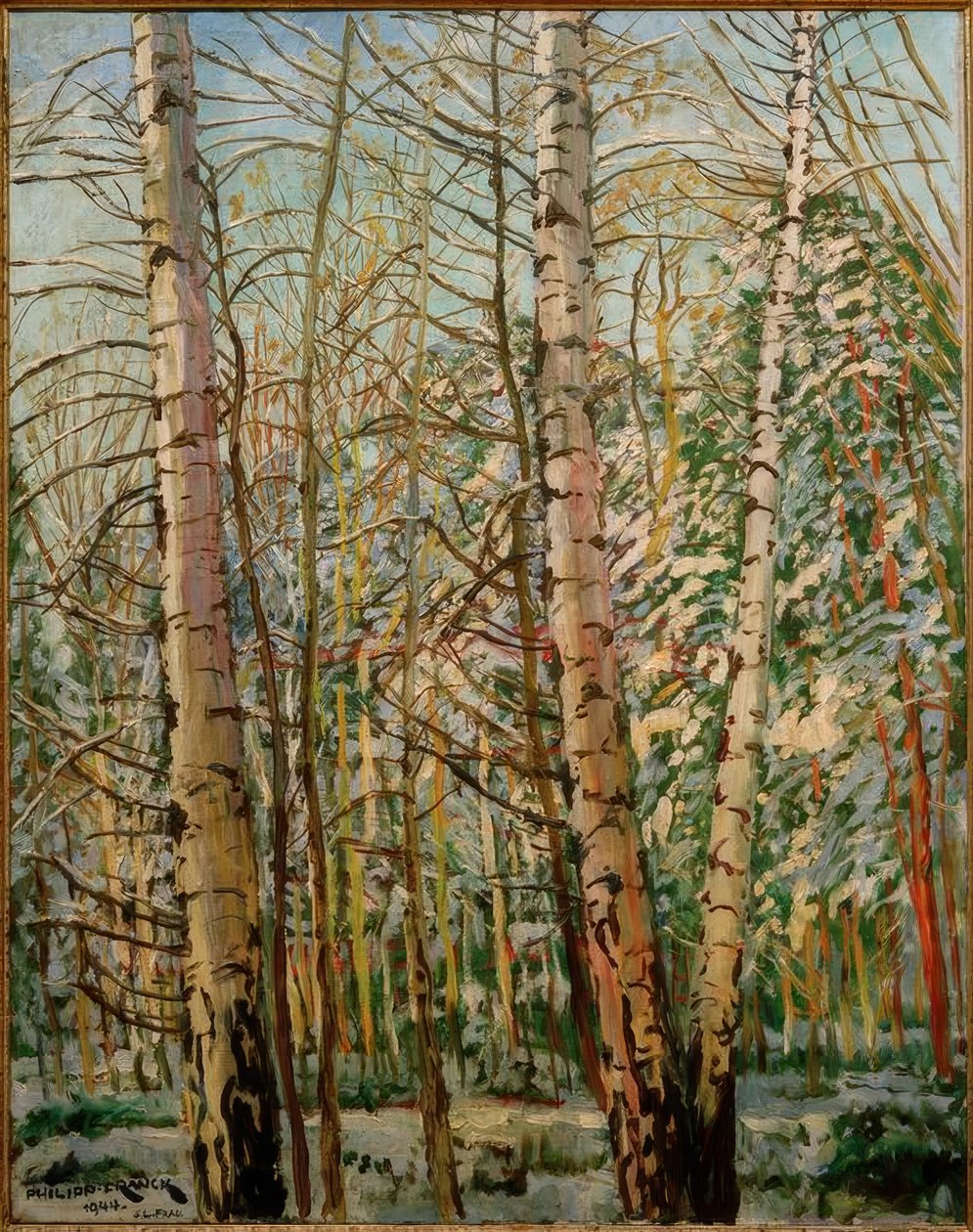 Koivut lumessa tekijältä Philipp Franck