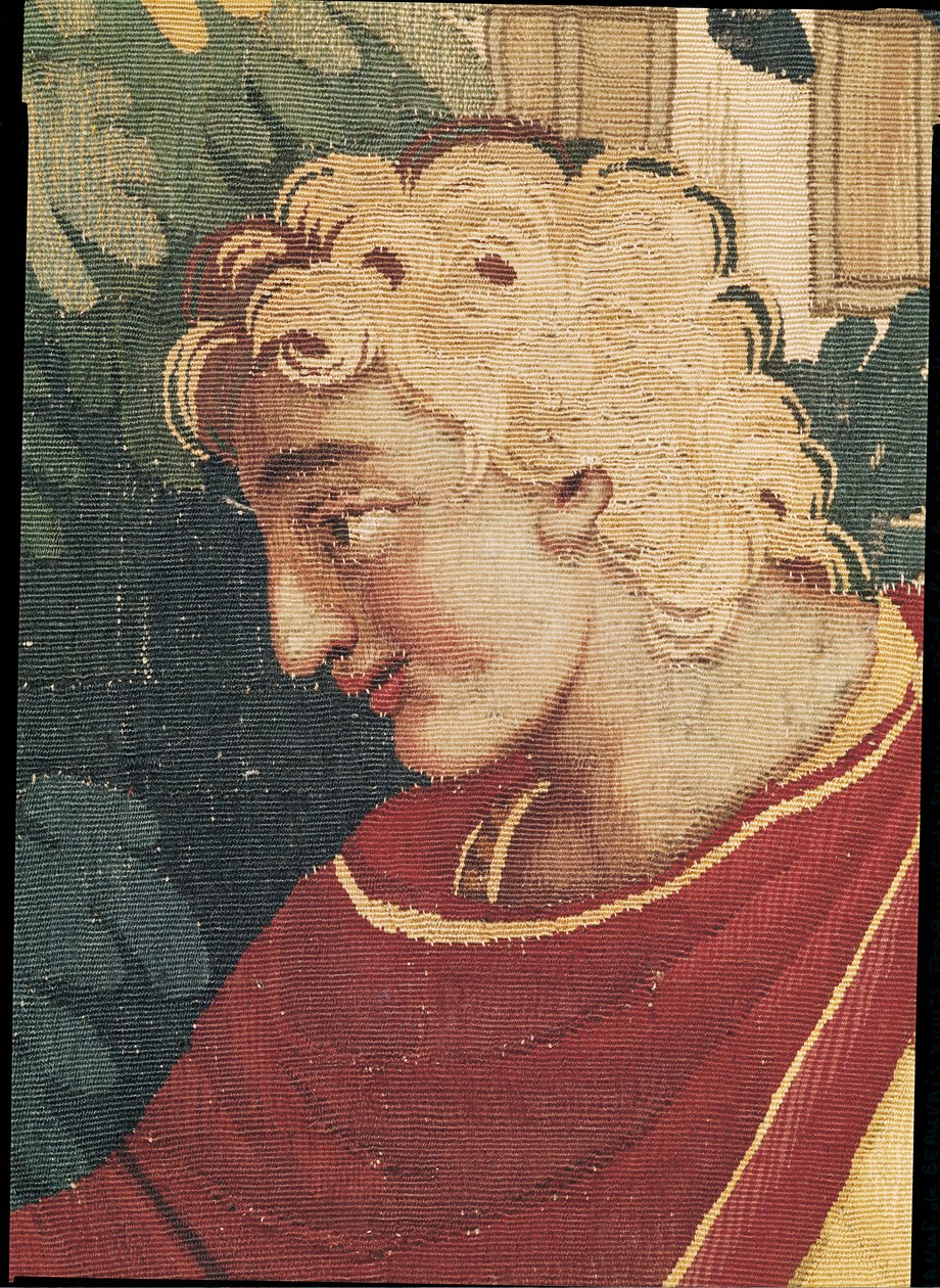 Cephalus ja Procris, yksityiskohta Cephaluksen päästä, Beauvais Workshop (kuvakudos) tekijältä Philippe Behagle