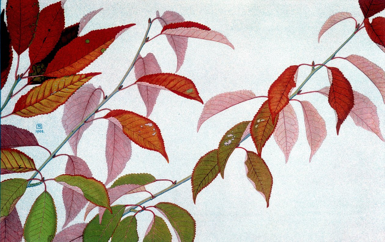 Autumn Leaves, kirjoittanut Philippe Robert, Robert Ried -painokset tekijältä Philippe Robert