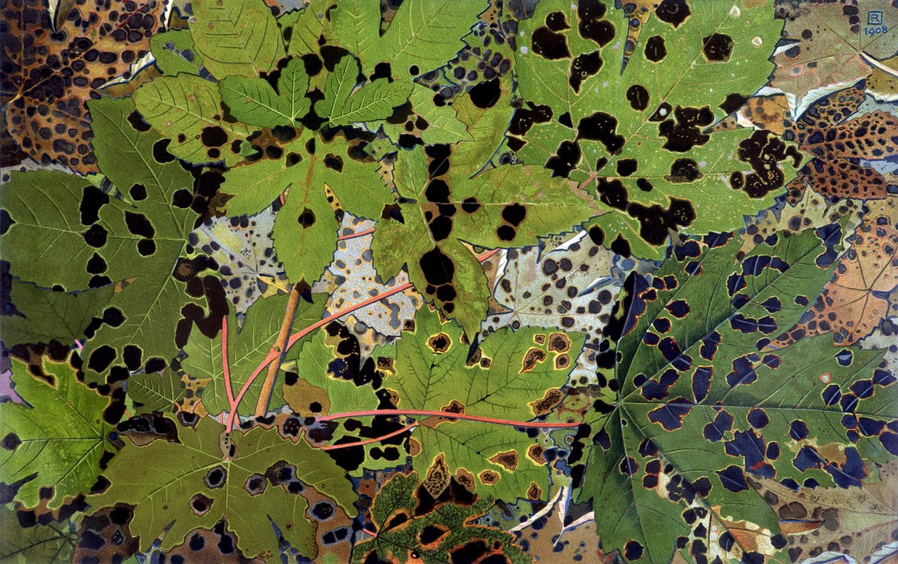 Autumn Leaves, kirjoittanut Philippe Robert, Robert Ried -painokset tekijältä Philippe Robert