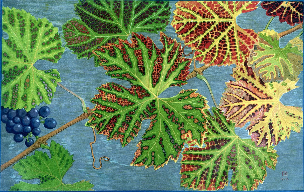 Autumn Leaves, kirjoittanut Philippe Robert, Robert Ried -painokset tekijältä Philippe Robert