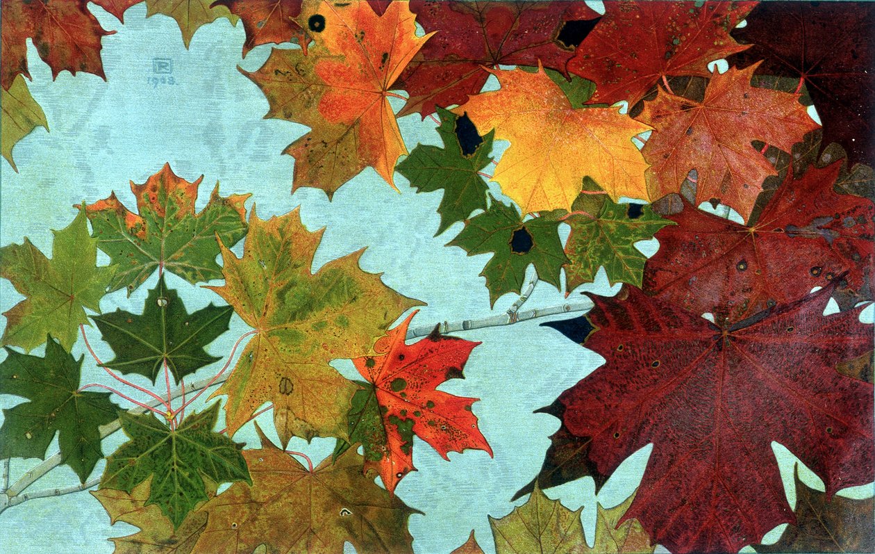 Autumn Leaves, kirjoittanut Philippe Robert, Robert Ried -painokset tekijältä Philippe Robert