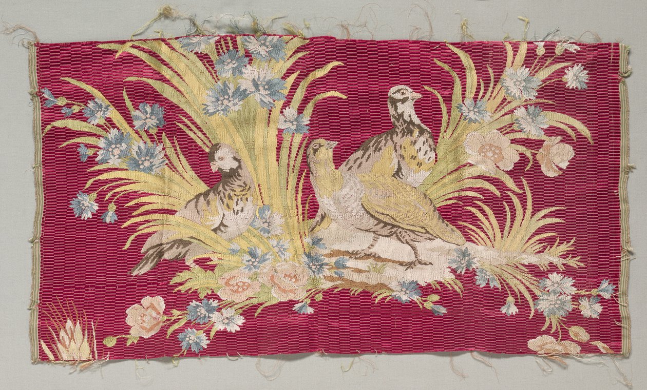 Silkkifragmentti, ennen vuotta 1779. tekijältä Philippe de Lasalle