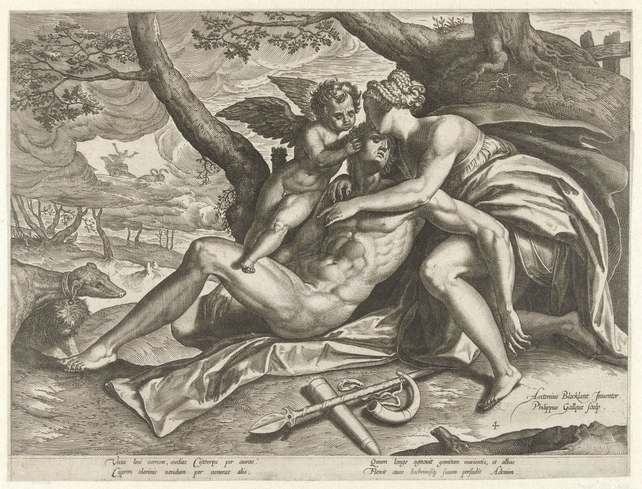 Venus suree Adonisin kuolemaa The Story of Adonis (sarjan nimi) tekijältä Philips Galle