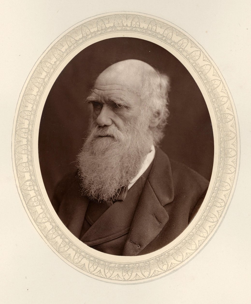 Charles Darwinin muotokuva 1809-1882, 1877. tekijältä Photo studio Lock and Whitfield