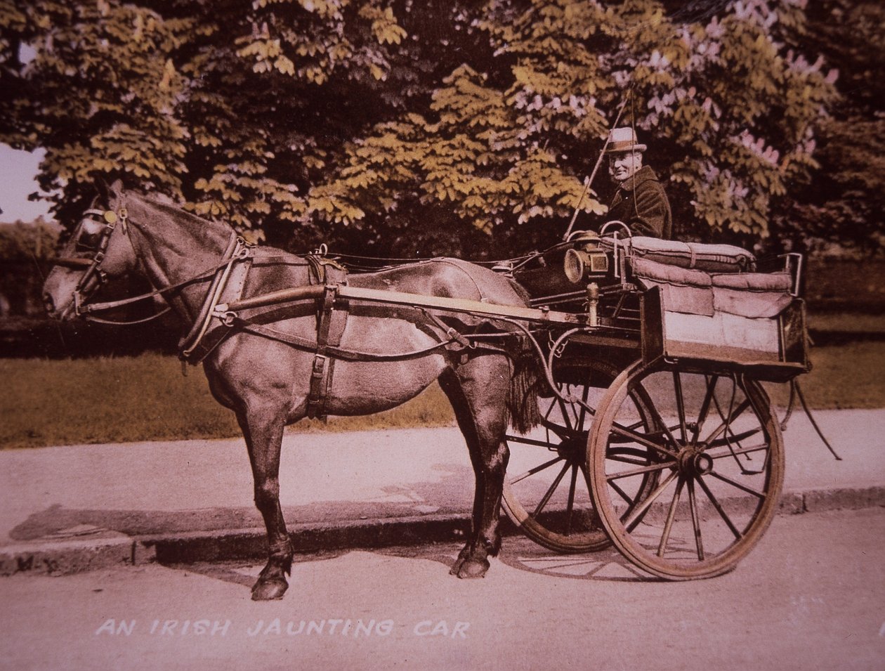 Irlantilainen huviauto, n. 1910 (käsinvärinen mustavalkokuva) tekijältä Photographer Irish