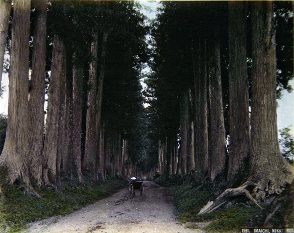 Riksa puiden reunustamalla tiellä Nikossa, n. 1900 (värillinen kuva) tekijältä Photographer Japanese