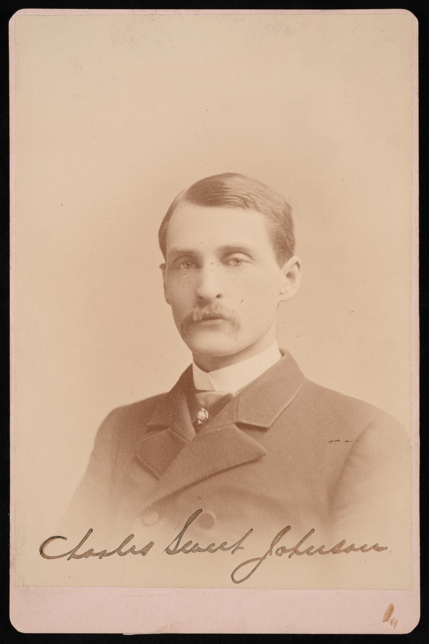 Charles Sweet Johnsonin muotokuva, 1870-1871. tekijältä Photographic Art Company