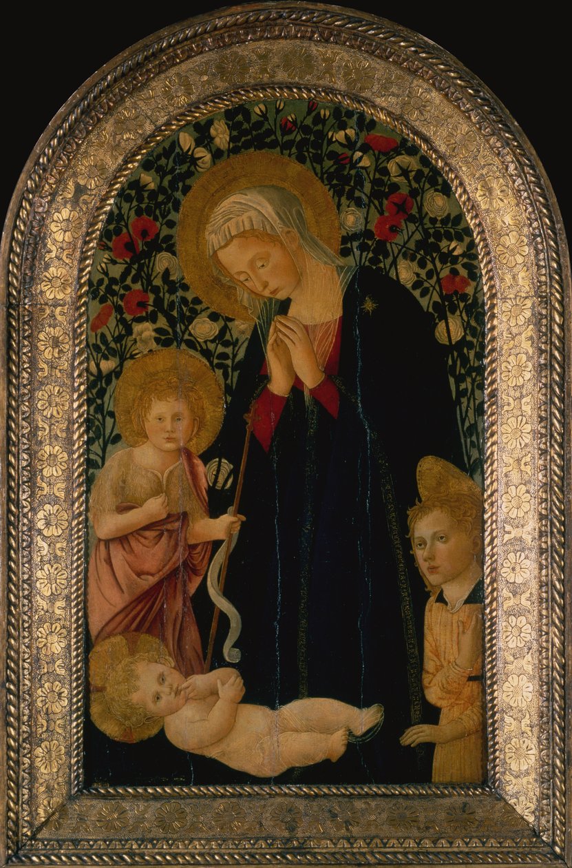 Madonna palvoo lasta ja pieni pyhä Johannes Kastaja, enkeli ja ruususidas takana (tempera paneelissa) tekijältä Pier Francesco Fiorentino