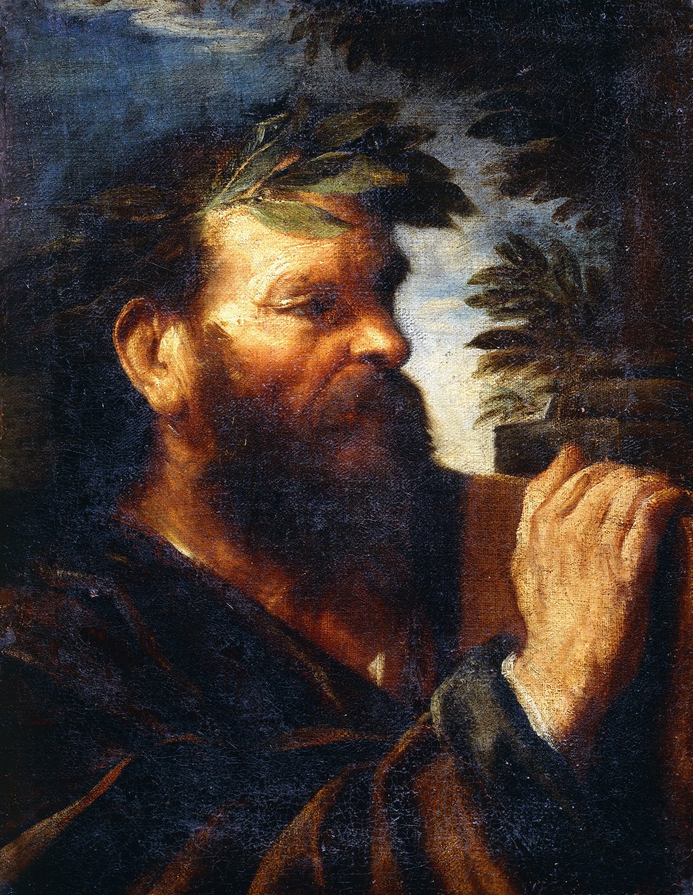 Viisaan pää, tekijältä Pier Francesco Mola