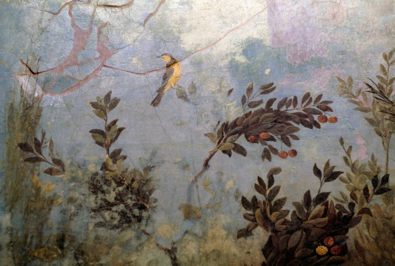 Lintu, yksityiskohta freskosta, joka kuvaa puutarhaa puita ja lintuja, Livian talosta Palatine-kukkulalla, Rooma, Italia. Rooman sivilisaatio tekijältä Blaise Nicolas Le Sueur