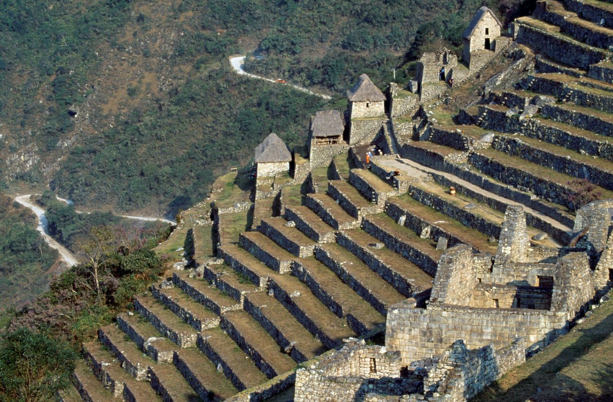 Terassit, Machu Picchu (Unescon maailmanperintöluettelo tekijältä Blaise Nicolas Le Sueur