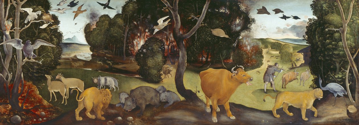 Metsäpalo, 1400-luku tekijältä Piero di Cosimo