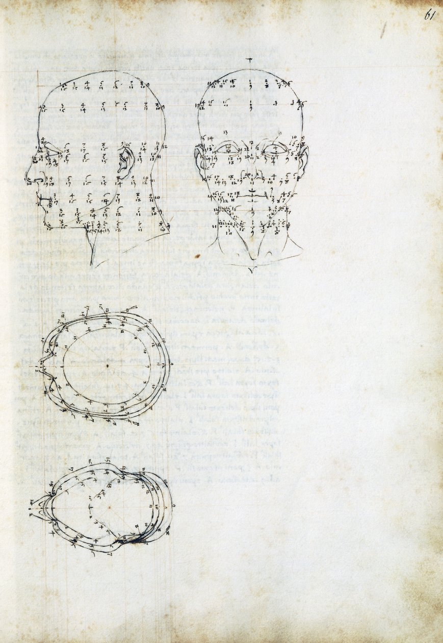 Pään rakenne ja geometrinen projektio, sivu De Prospectiva pingendistä (Maalauksen näkökulmasta), Piero della Francesca (n. 1415-1492), Italia tekijältä Piero della Francesca