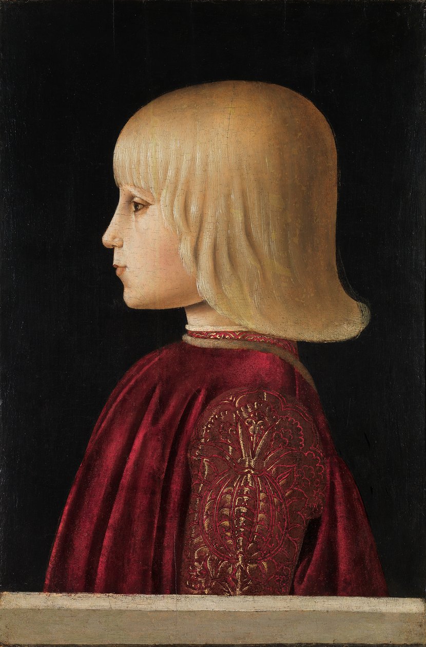 Pojan muotokuva Guidobaldo Da Montefeltro, noin 1479. tekijältä Piero della Francesca