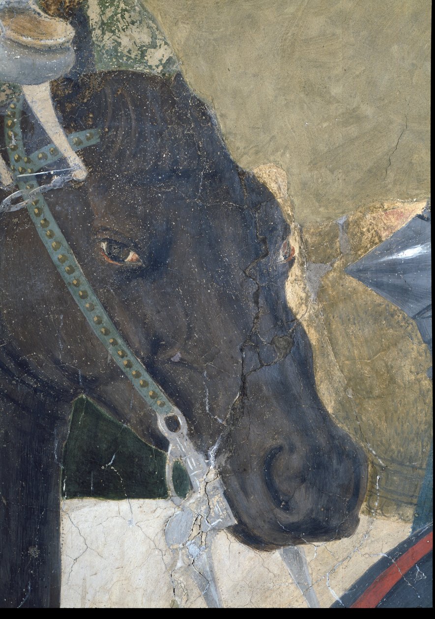 Legenda todellisesta rististä, Konstantinuksen voitto Milvian sillan taistelussa, yksityiskohta hevosen päästä, valmistunut 1464 fresko ks. myös 116343. tekijältä Piero della Francesca