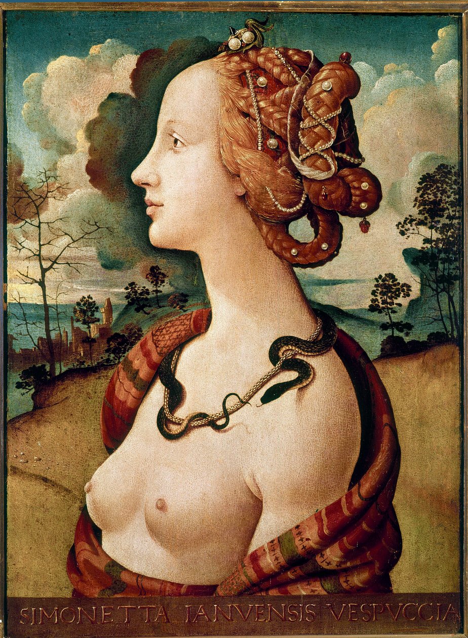 Naisen muotokuva Simonetta Vespucci Detrempestä puulle kirjoittanut Piero di Lorenzo dit Piero di Cosimo (1462-1521) 1480 su.0,57 x 0,42 m Chantilly, Musee Conde tekijältä Piero di Cosimo
