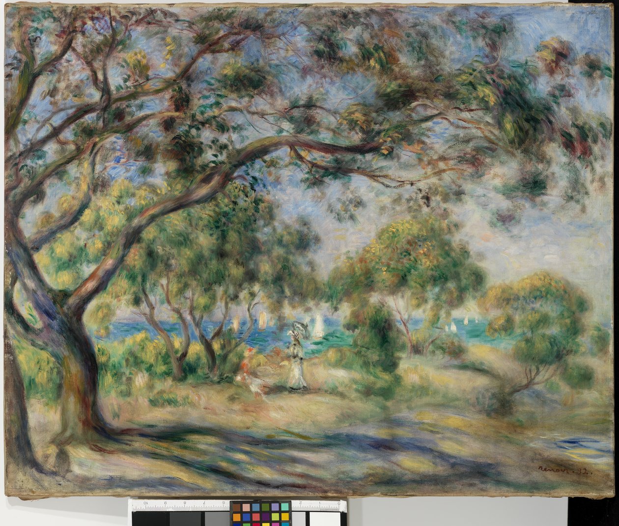 Tuolin puu (Noirmoutier) 1892 tekijältä Pierre Auguste Renoir