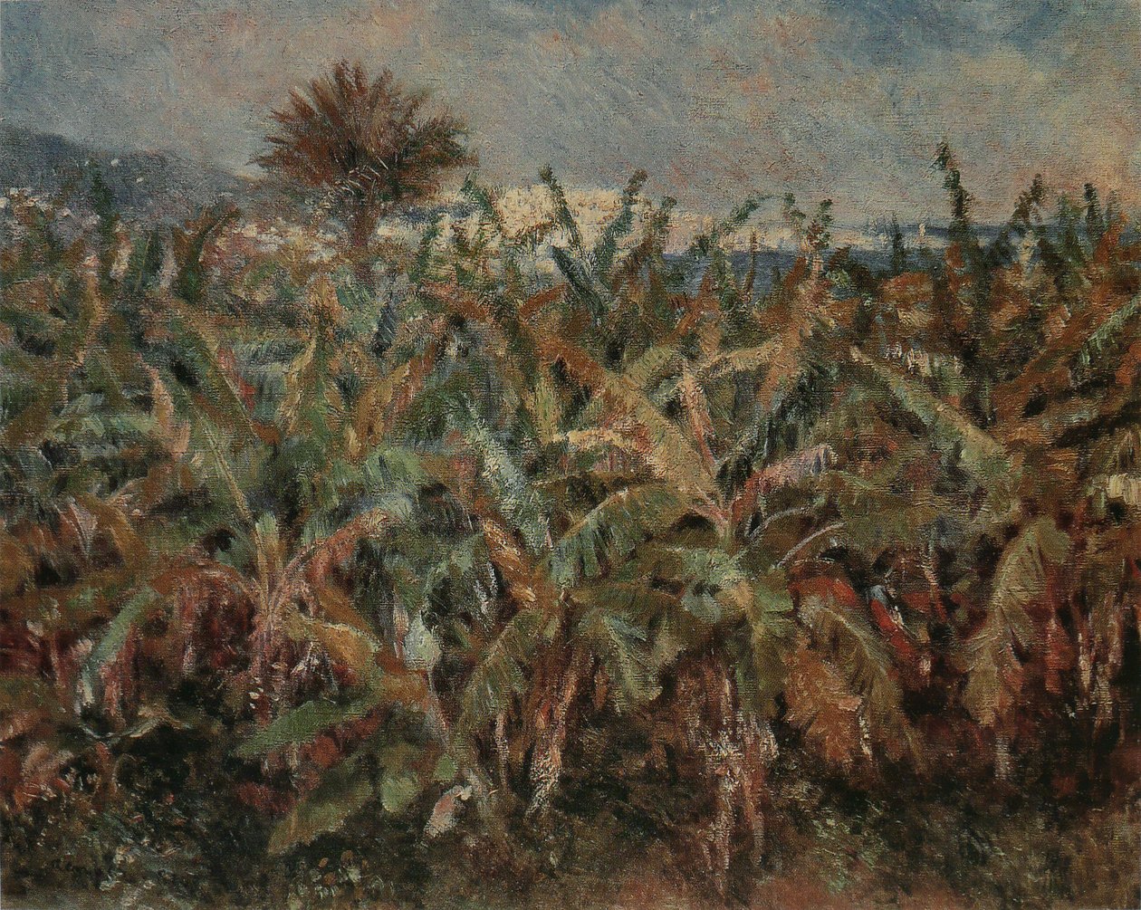 Banaanipelto tekijältä Pierre Auguste Renoir