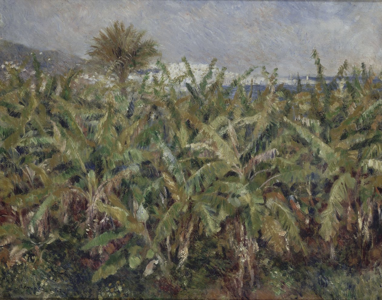Banaanipuiden kenttä tekijältä Pierre Auguste Renoir