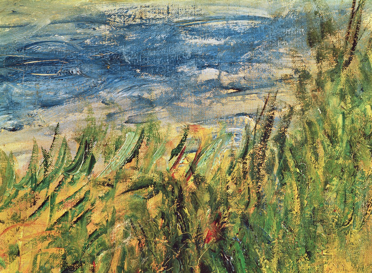 Seinen ranta Champrosayssa, yksityiskohta vedestä ja ruohosta maalauksen keskellä, 1876 (yksityiskohta kuvasta 38573). tekijältä Pierre Auguste Renoir
