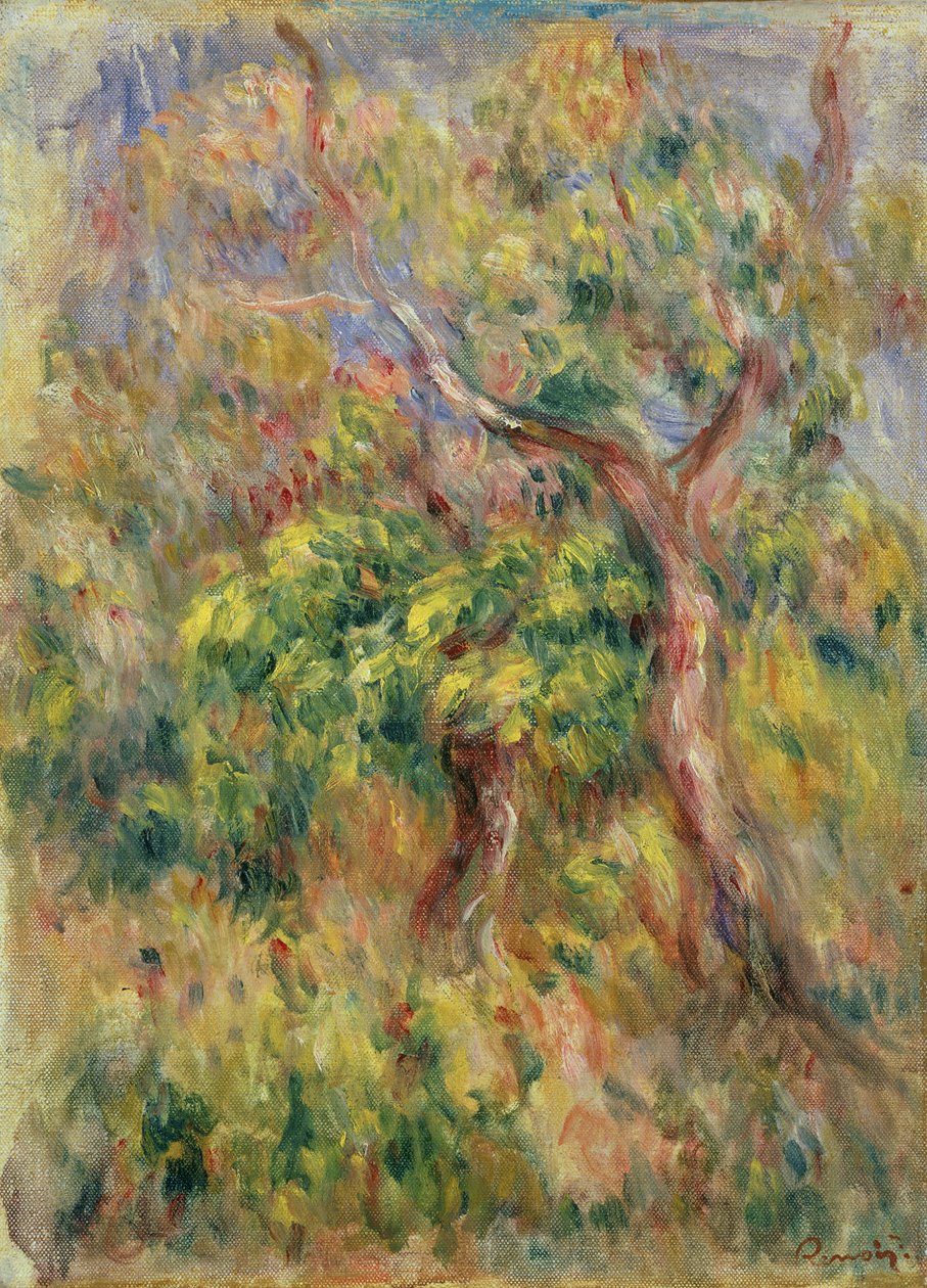 Puut, 1915-16 tekijältä Pierre Auguste Renoir