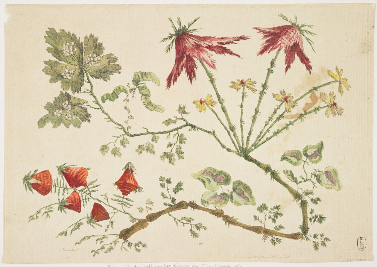 Ornamentti, Chinoiserie, Kukat, 30.6.1760 (värillinen etsaus) tekijältä Pierre Charles Canot