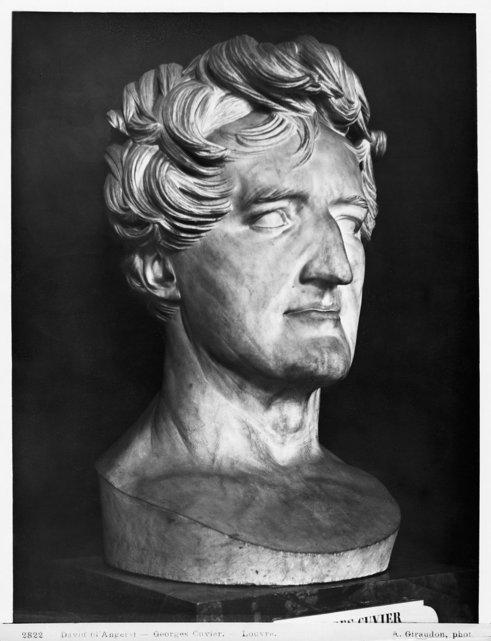 Georges Cuvier, 1833 (marmori) tekijältä Pierre Jean David d
