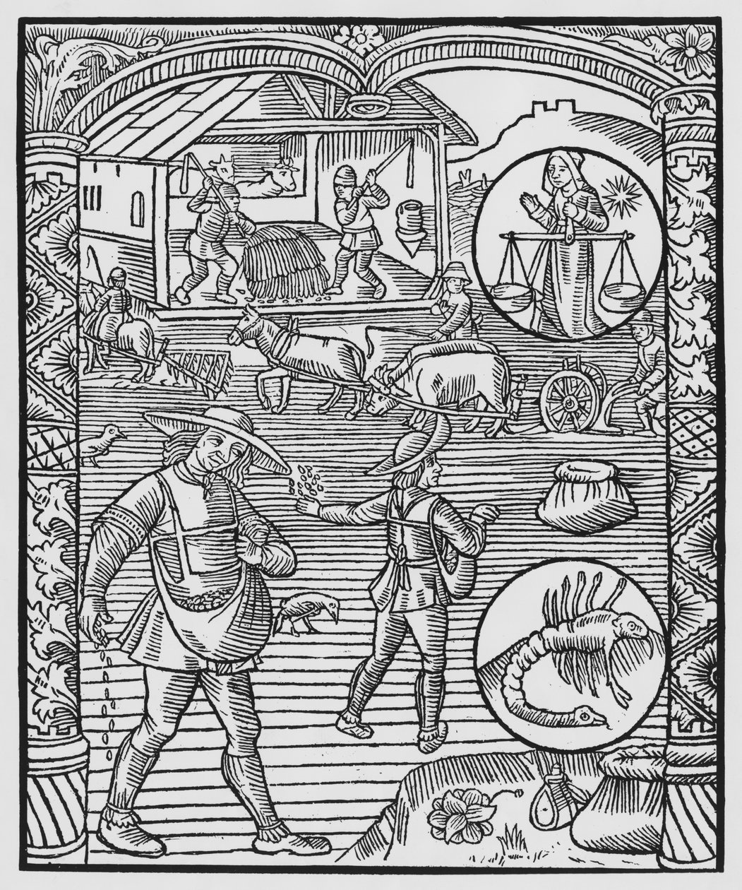 Lokakuu, kylvö, kyntö ja puinti, Vaaka, kuvitus "Almanach des Bergersistä", 1491 (ksylografi) tekijältä Pierre Le Rouge