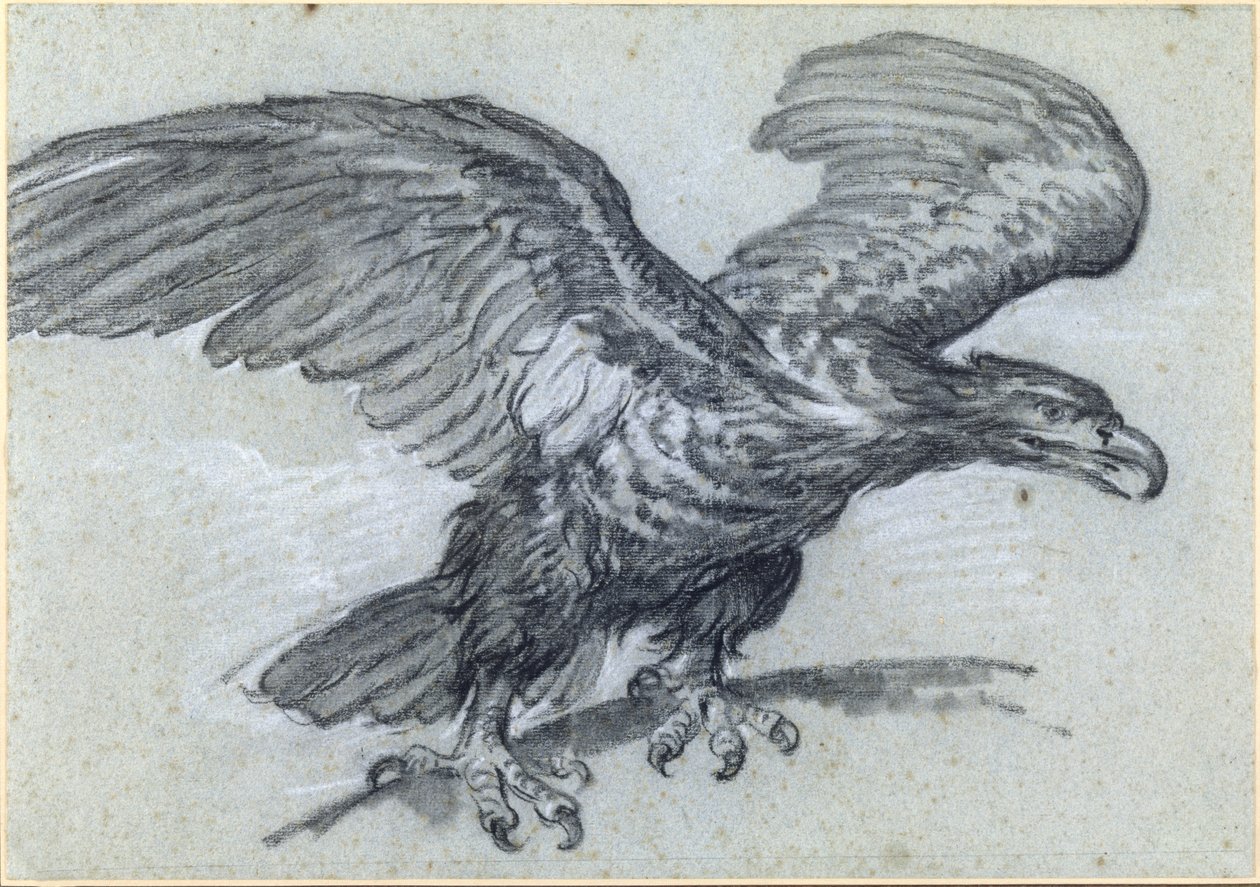Kotka, 1811 tekijältä Pierre Paul Prudhon