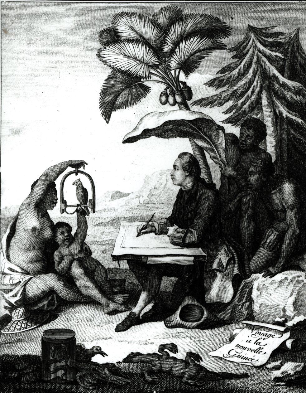 Pierre Sonnerat piirtää lintua teoksesta Voyage a la Nouvelle-Guinee, kaiverrus Marie Therese Martinet (s.1731) 1776 tekijältä Pierre Sonnerat