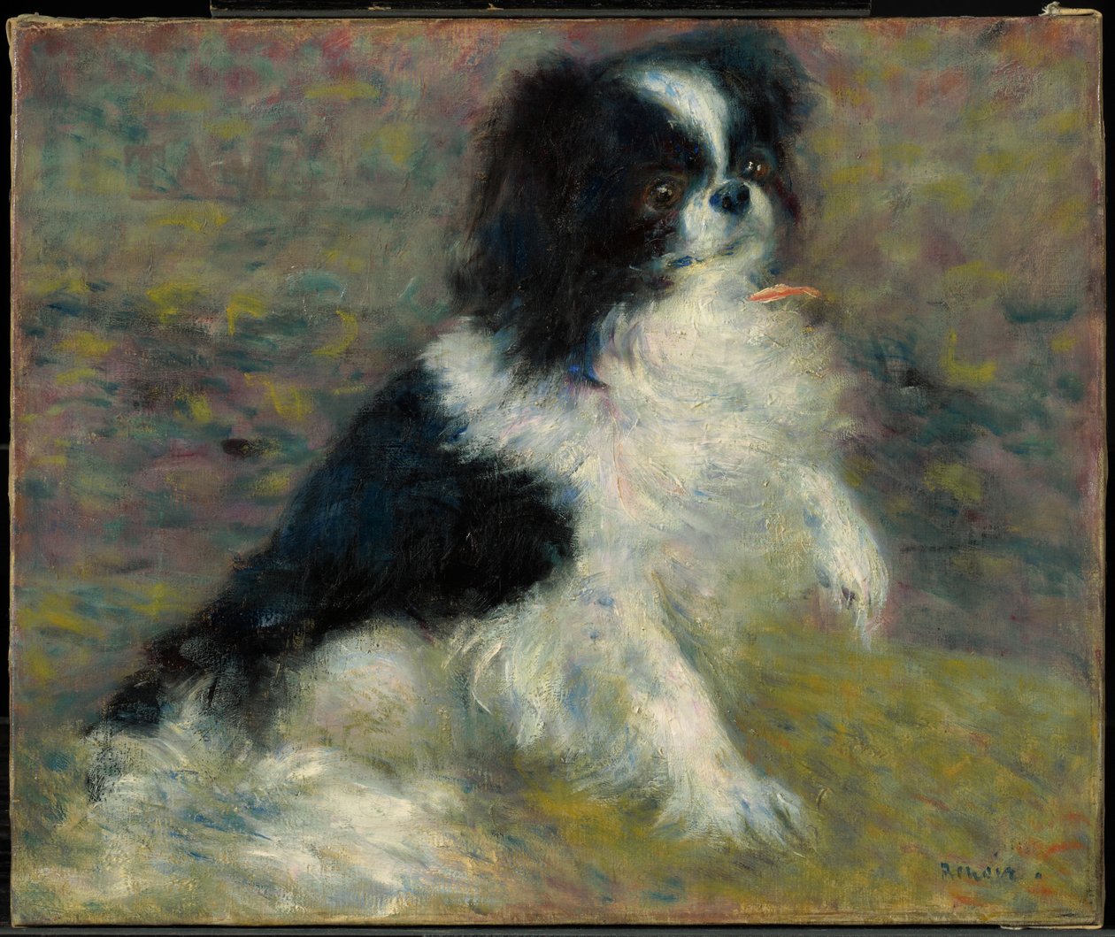 Tama, japanilainen koira tekijältä Pierre-Auguste Renoir