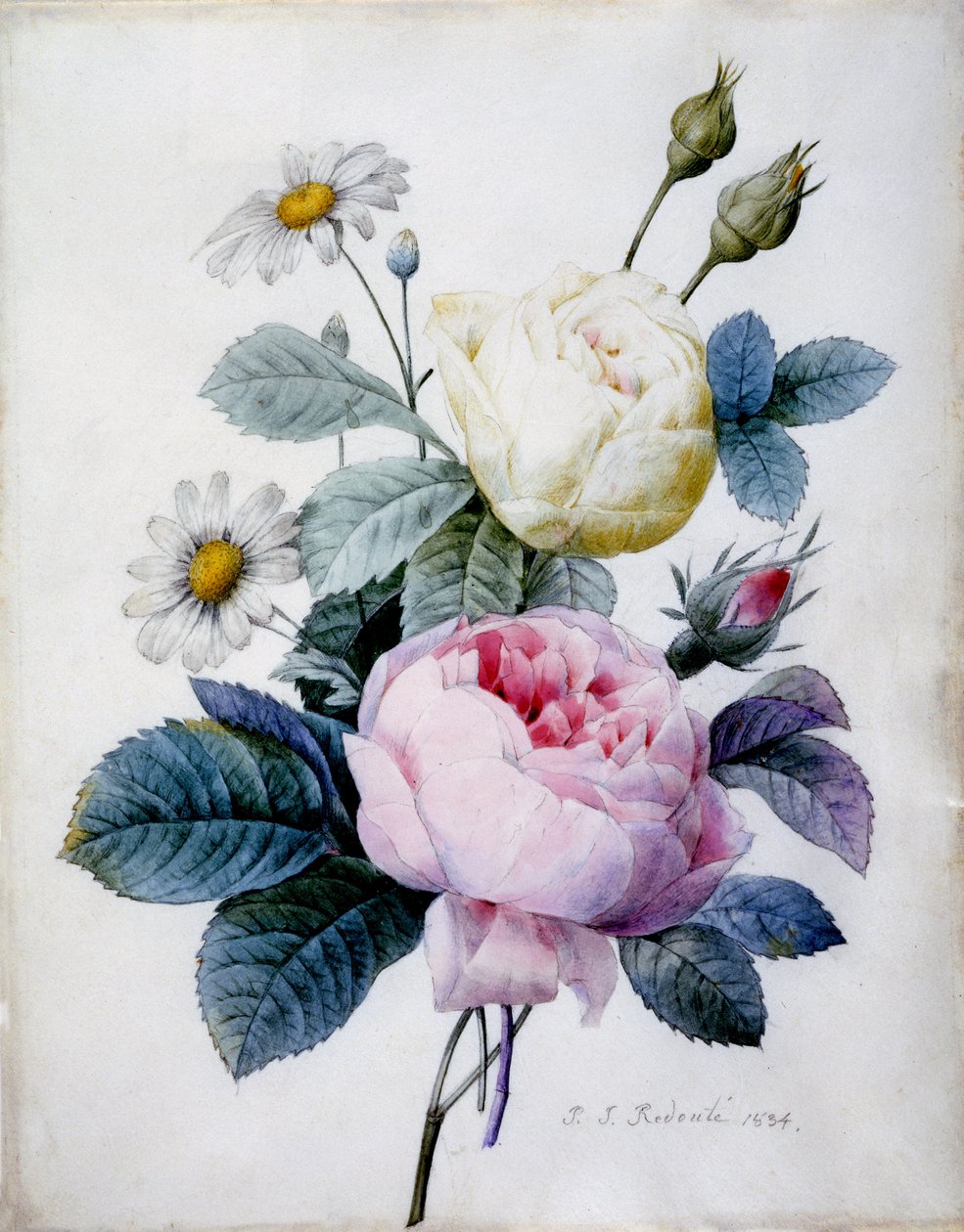 Kimppu ruusuja päivänkakkareilla, julkaistu 1834 (käsinvärinen pistekaiverrus) tekijältä Pierre Joseph Redouté