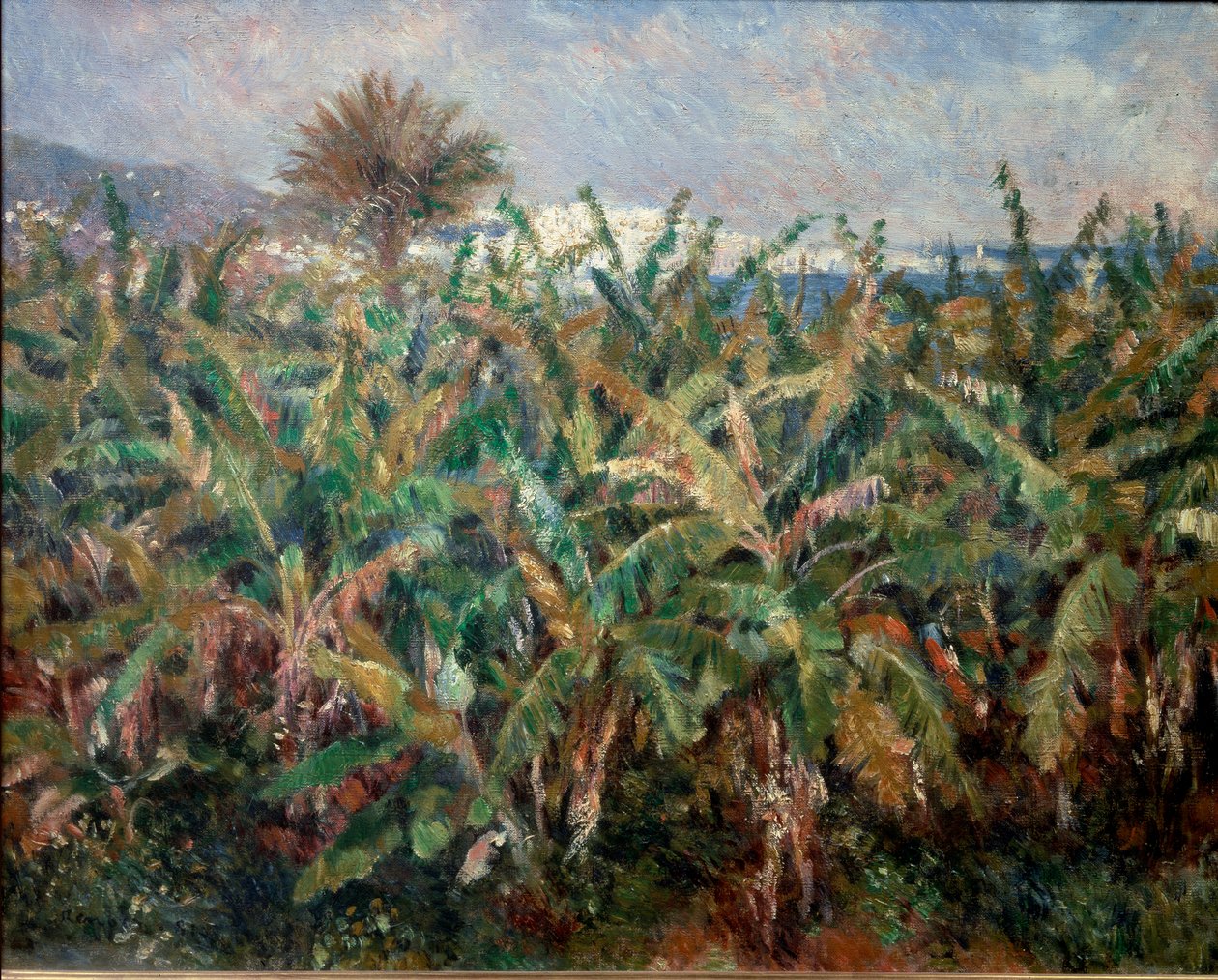 Banaanikenttä tekijältä Pierre Auguste Renoir