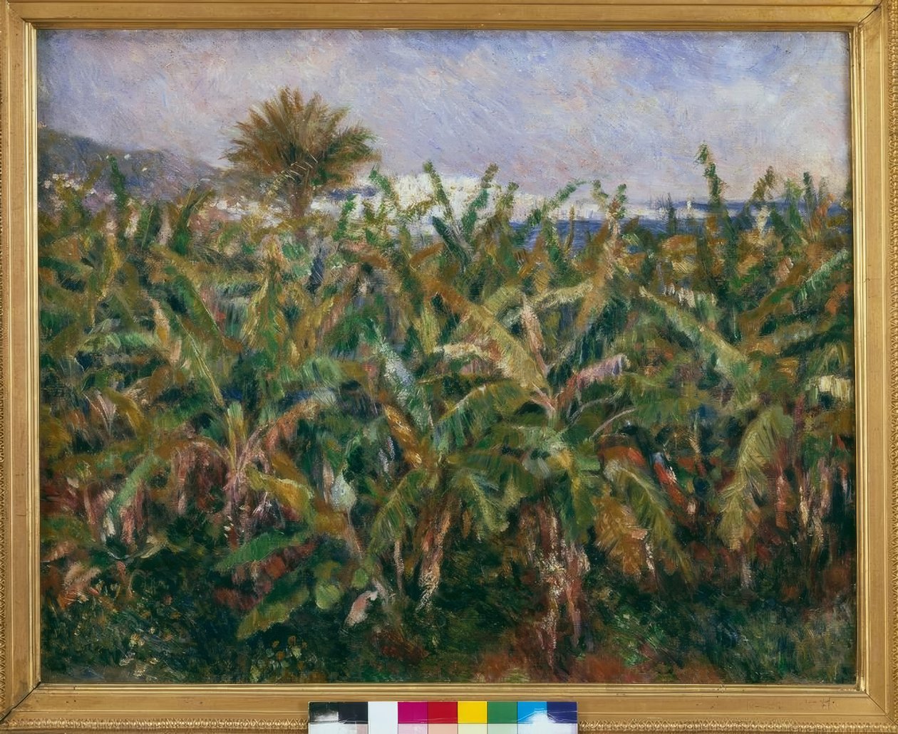 Champ de bananiers tekijältä Pierre Auguste Renoir