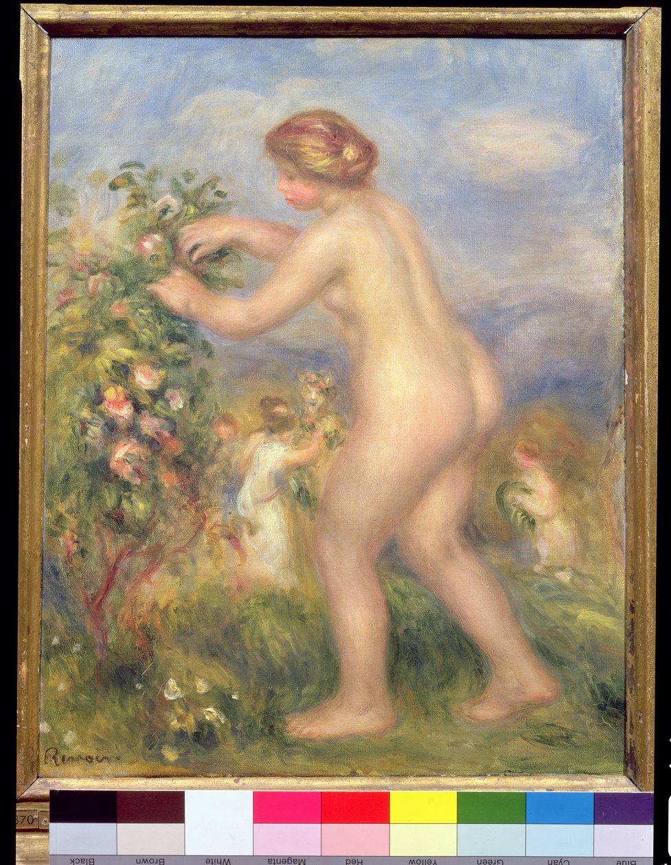 Nainen alaston poimimassa kukkia tekijältä Pierre Auguste Renoir