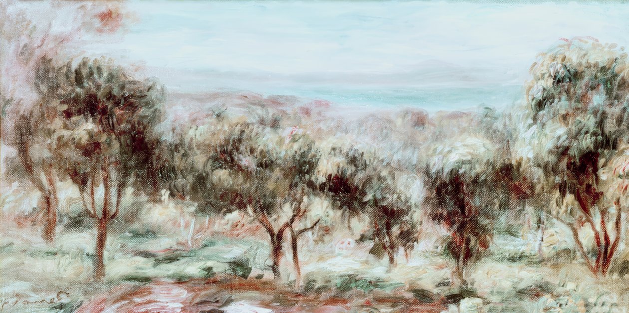 Maisema, oliivipuut tekijältä Pierre Auguste Renoir