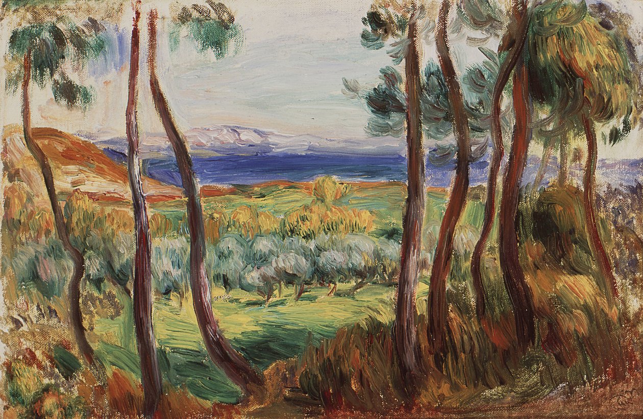 Pines ympärillä Cagnes, n. 1910. tekijältä Pierre Auguste Renoir