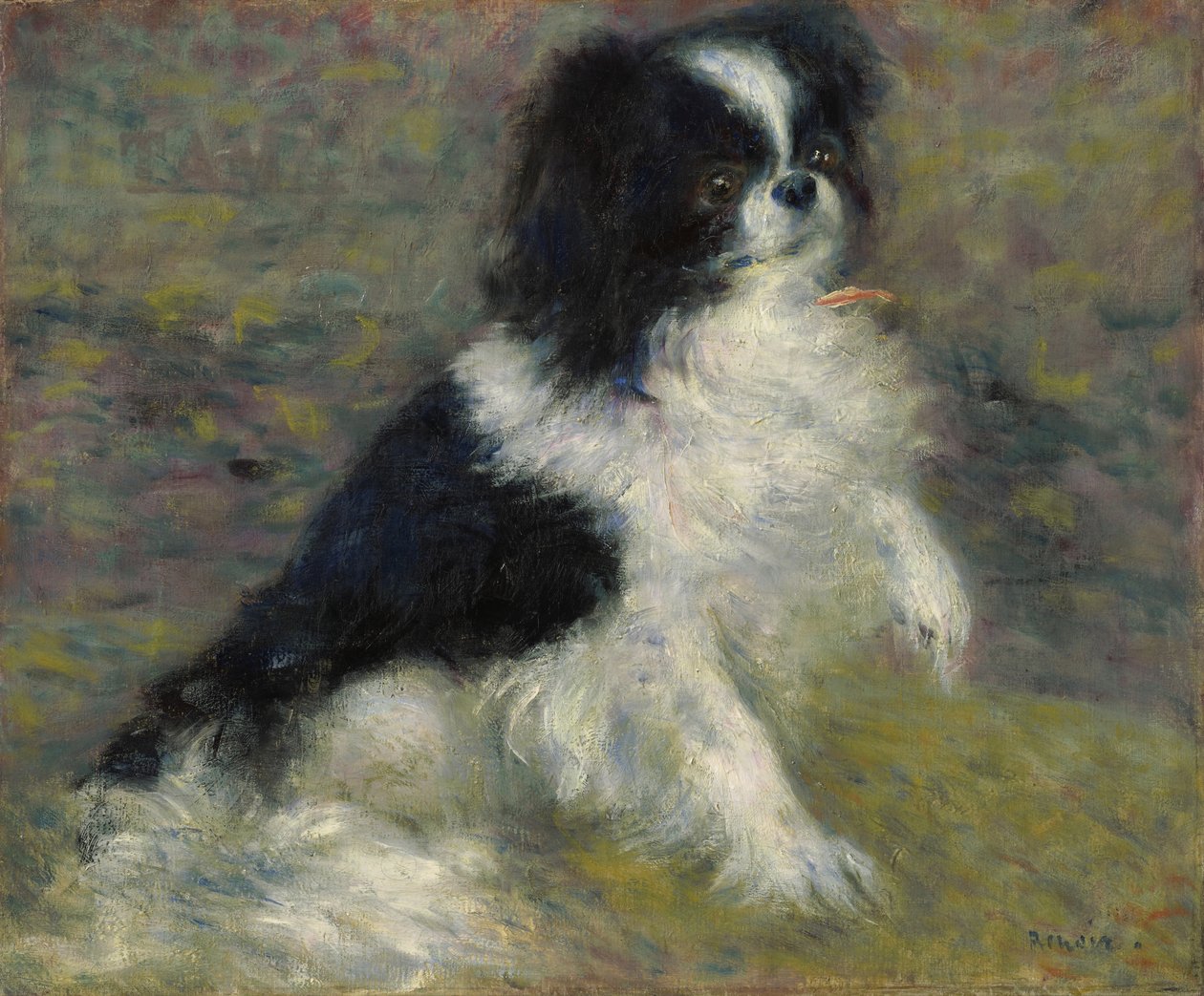 Tama, japanilainen koira, n. 1876 tekijältä Pierre Auguste Renoir