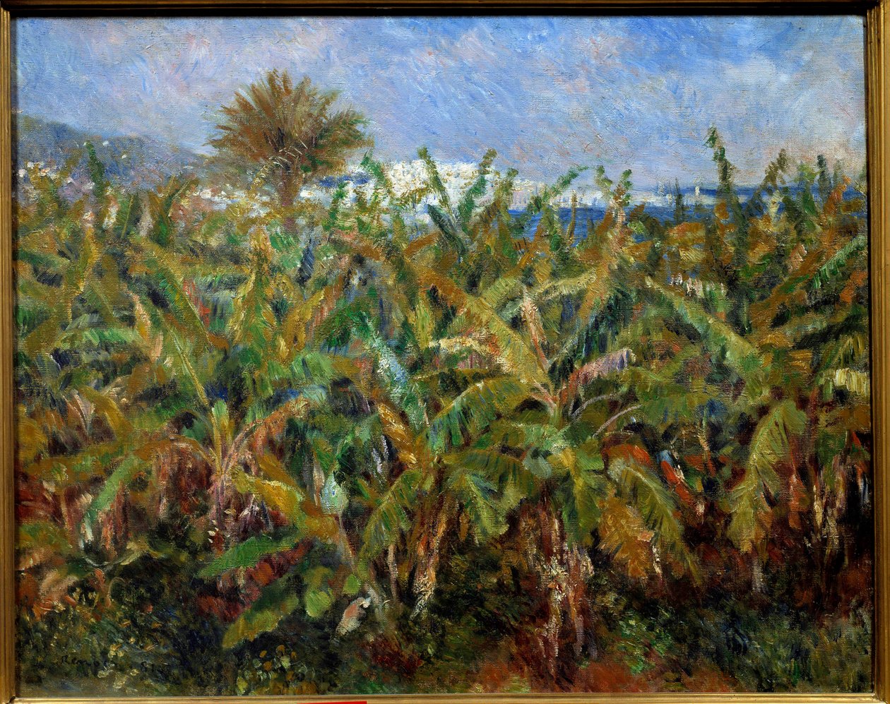 Un champ de bananas Pierre Auguste Renoirin (1841-1919) maalaus 1881 Su. 0,51x0,63 m Pariisi, musee d