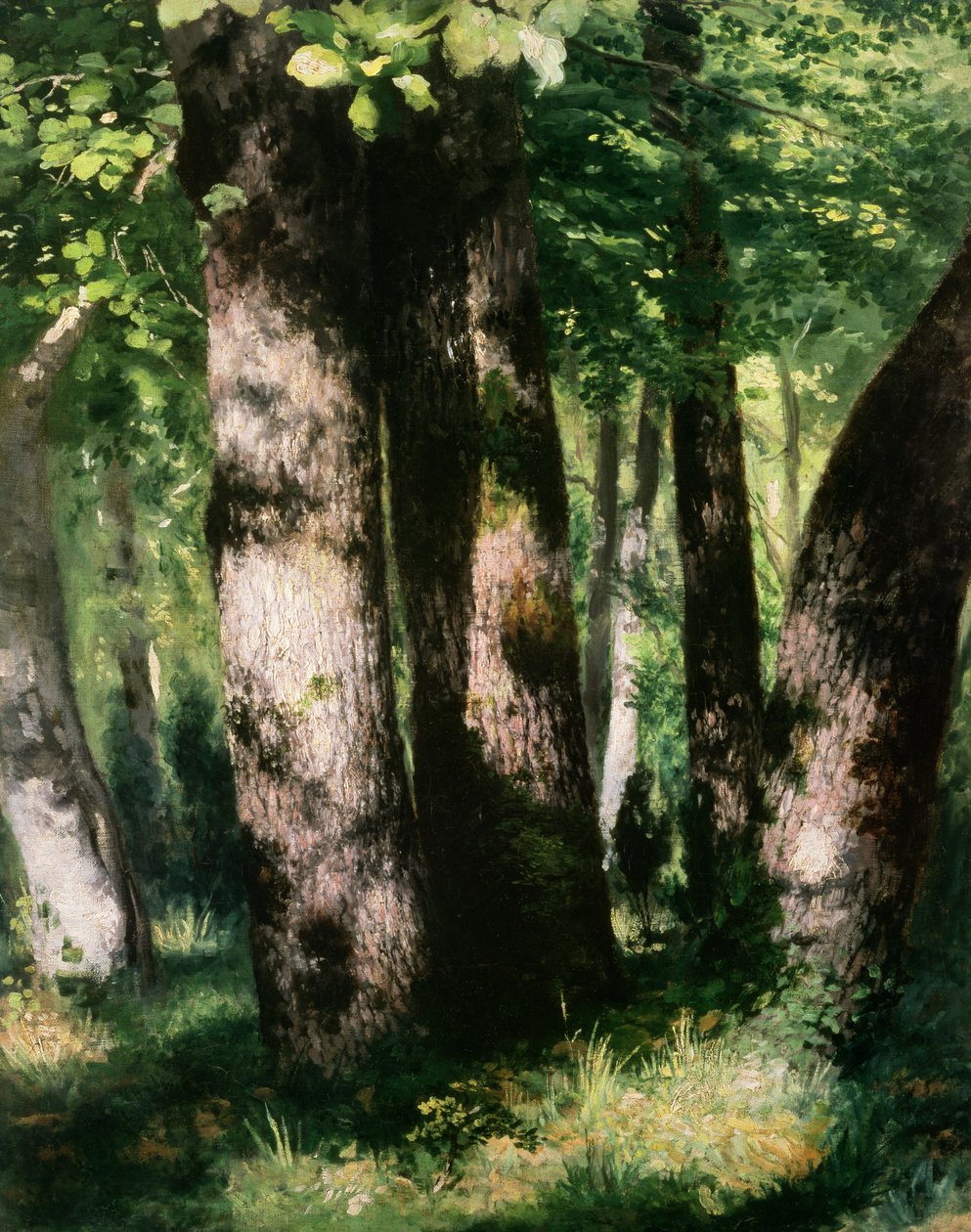Tuntematon kuva tekijältä Pierre Auguste Renoir