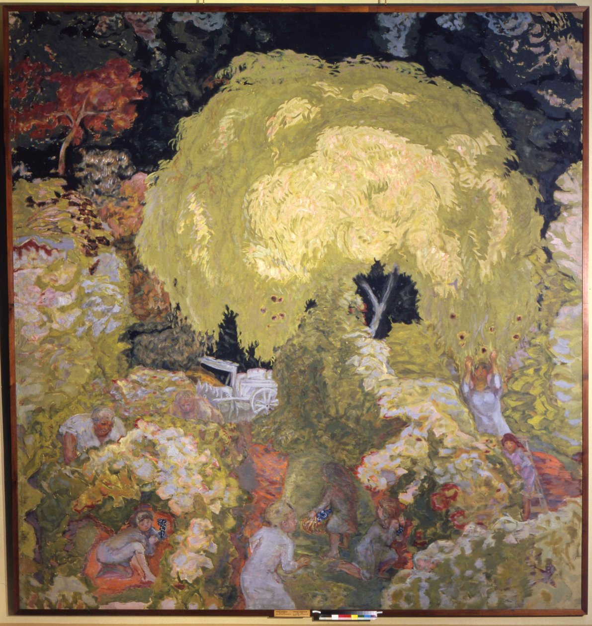 Syksy, hedelmien poiminta tekijältä Pierre Bonnard