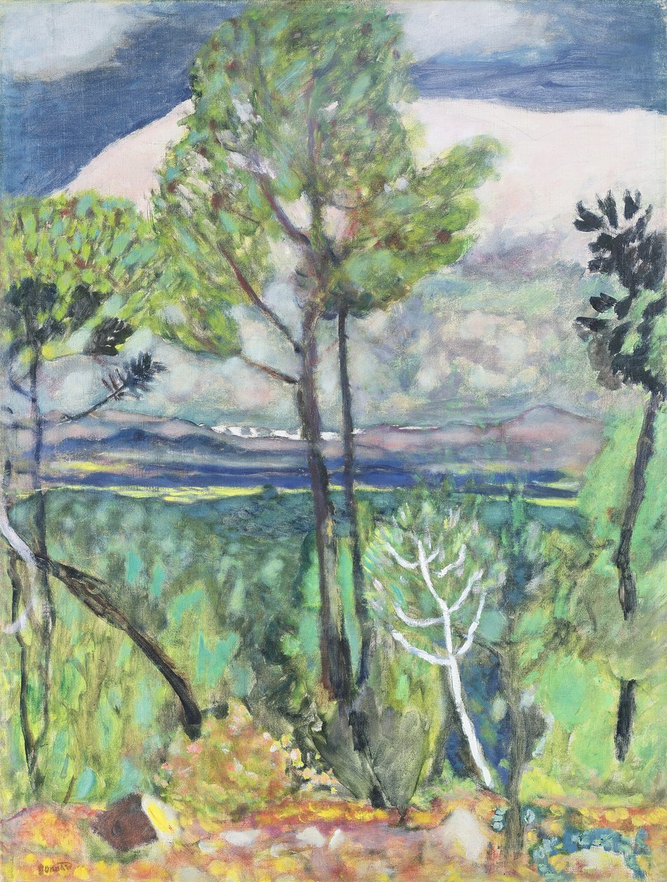 Maisema tekijältä Pierre Bonnard