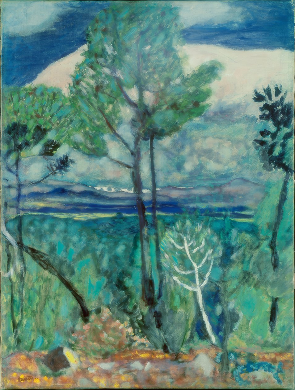 maisema tekijältä Pierre Bonnard