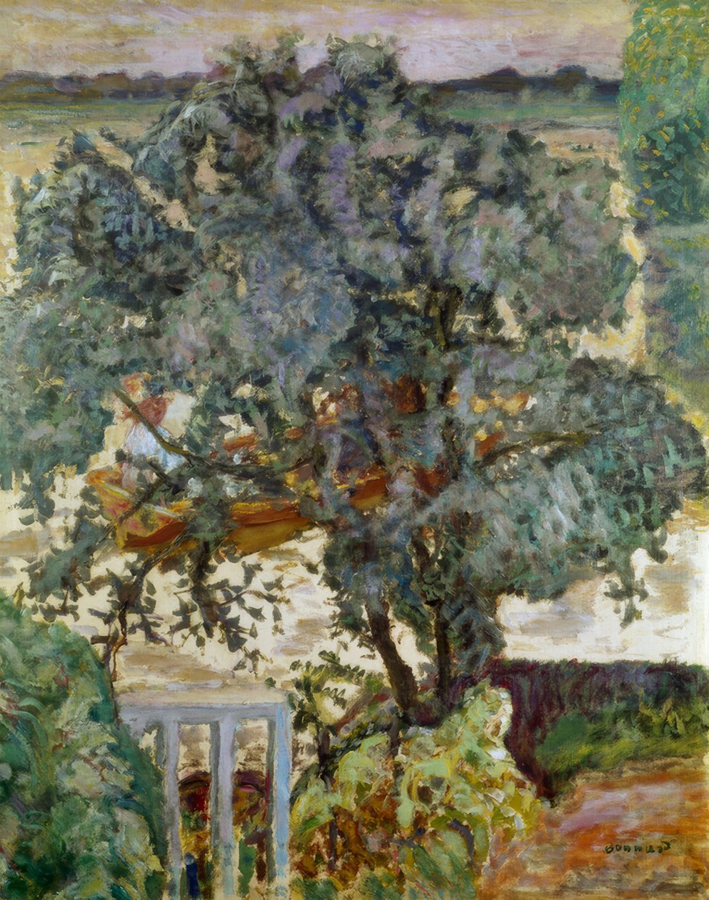 Puu joen rannalla tekijältä Pierre Bonnard